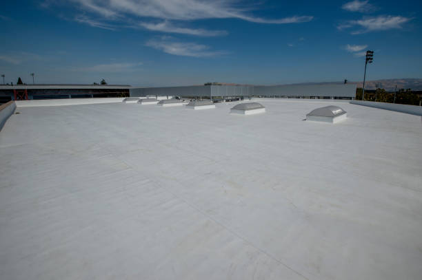 Best Roof Coating and Sealing  in Viola, NY