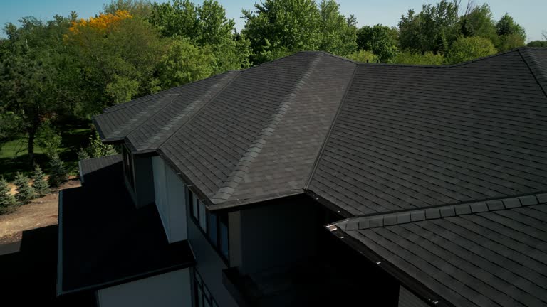 Best Roof Ventilation Installation  in Viola, NY