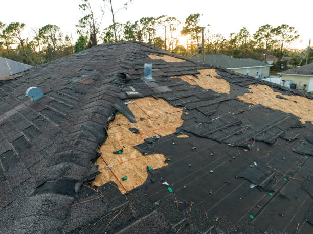 Best Rubber Roofing (EPDM, TPO)  in Viola, NY