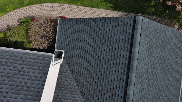 Best Skylight Installation and Repair  in Viola, NY